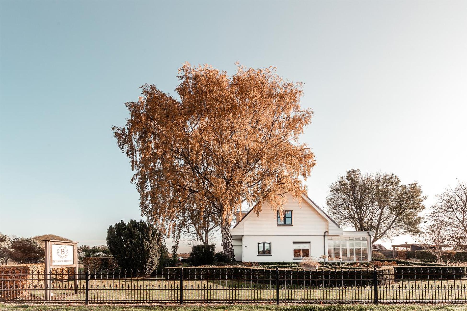 Betuwsch Badhuys Bed & Breakfast Lienden Екстериор снимка